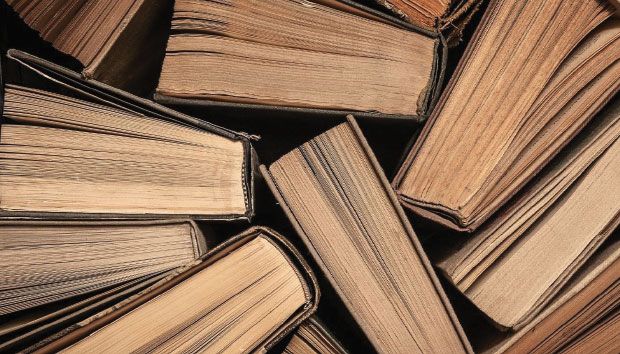 Projet de Pandora : bibliographie